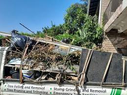 Best Shed Removal  in Big River, CA